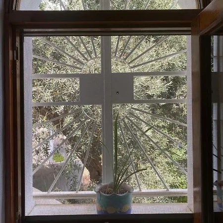 A Casa Di Clelia *